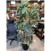 Image 1 : LARGE ARTIFICIAL TREE IN POT