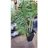 Image 2 : LARGE ARTIFICIAL TREE IN POT