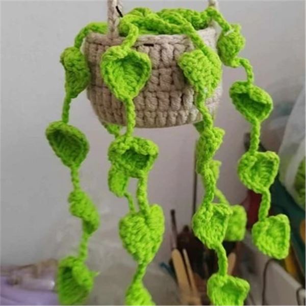 Boho crochet hanging plant