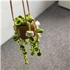 Image 1 : boho crochet plant