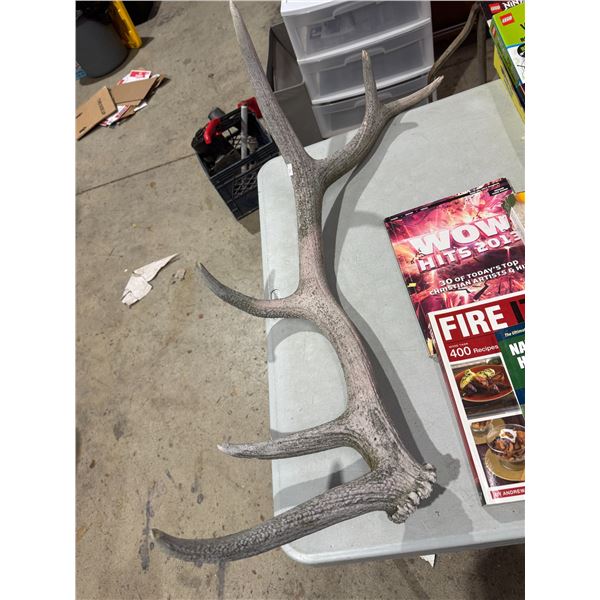 Antler