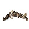 Image 2 : 2 pc - Artistic wall mirrors