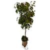 Image 1 : Stone style flower pot in metal base w/ faux flowers