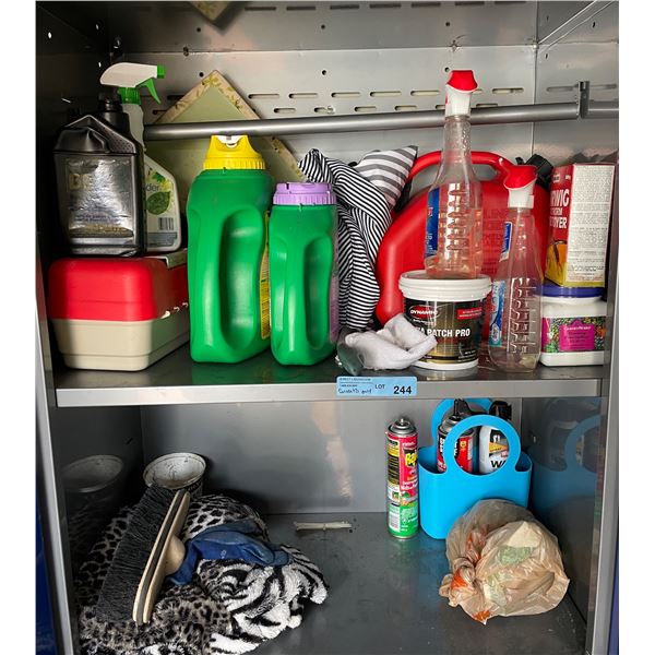 Contents of cabinet, & shed (Does not include previous lots or pool accessories)