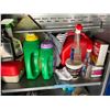 Image 2 : Contents of cabinet, & shed (Does not include previous lots or pool accessories)