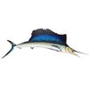 Image 1 : Sailfish Marine Taxidermy w/certificate of authentication 8ft x 8in