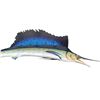 Image 2 : Sailfish Marine Taxidermy w/certificate of authentication 8ft x 8in