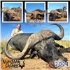 Image 1 : Cape Buffalo Safari in South Africa