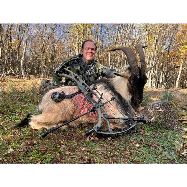 Kri-Kri Hybrid Ibex Hunt in Macedonia