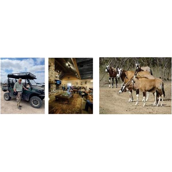 4 Day/3 Night Scimbok, Axis, Aoudad, & Nilgai Hunt for 2 hunters/2 non-hunters at Thumbtack Ranch