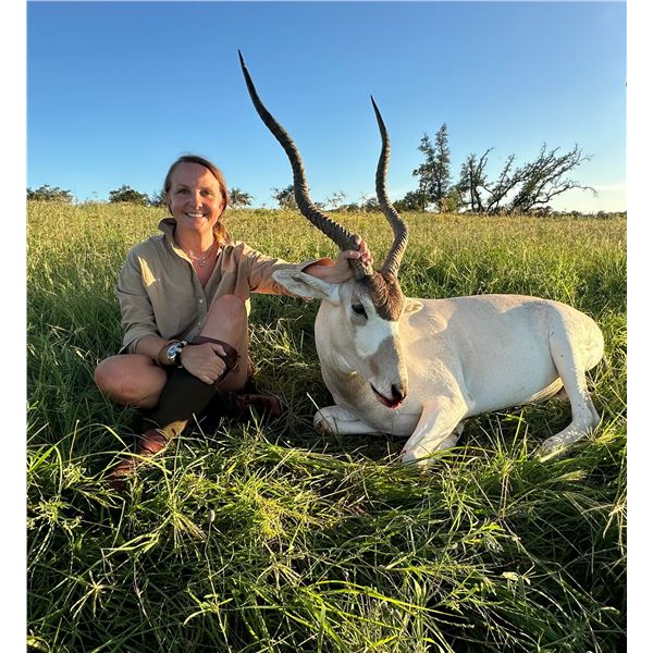 Gold Medal Addax, Dama Gazelle, or Scimitar-Horned Oryx with Los Encinos Outfitters