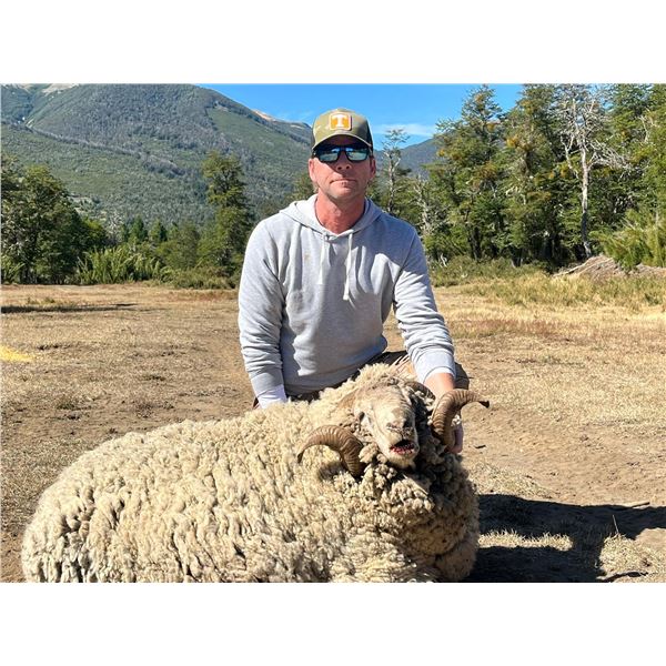 Patagonia Ram & Feral Goat Hunt at Villa Hermosa – Argentina