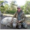 Image 3 : Patagonia Ram & Feral Goat Hunt at Villa Hermosa – Argentina