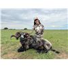 Image 4 : Patagonia Ram & Feral Goat Hunt at Villa Hermosa – Argentina