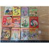 Image 1 : 12 big little books