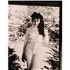 Image 1 : Julie Newmar signed portrait photo