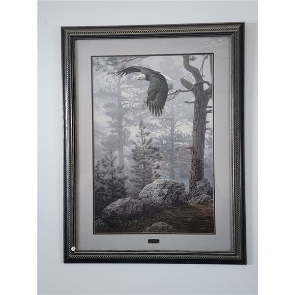 Shrouded Forest - Bald Eagle