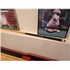 Image 5 : Pool Framed Dog Pictures & Viking Valhalla Pool Cue with Case