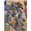 Image 5 : 60 Hunting Decoys