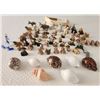 Image 2 : Small Animal Figurines & Shells