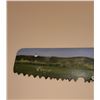 Image 2 : Painted Saw by artist W. Tengum