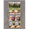 Image 4 : 15 Early 1900's Stereo View Cards