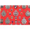 Image 6 : Royal Canadian & British Police Badge Collection