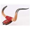 Image 3 : Antique Texas Horn Mount