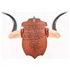 Image 5 : Antique Texas Horn Mount