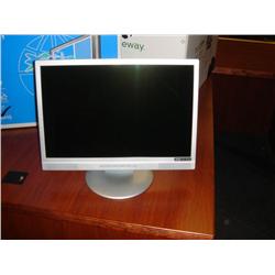 19  Widescreen Lcd Flat Panel Monitor