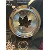 Image 1 : Lot 1-1) 1 oz Canadian Maple 2025 Silver