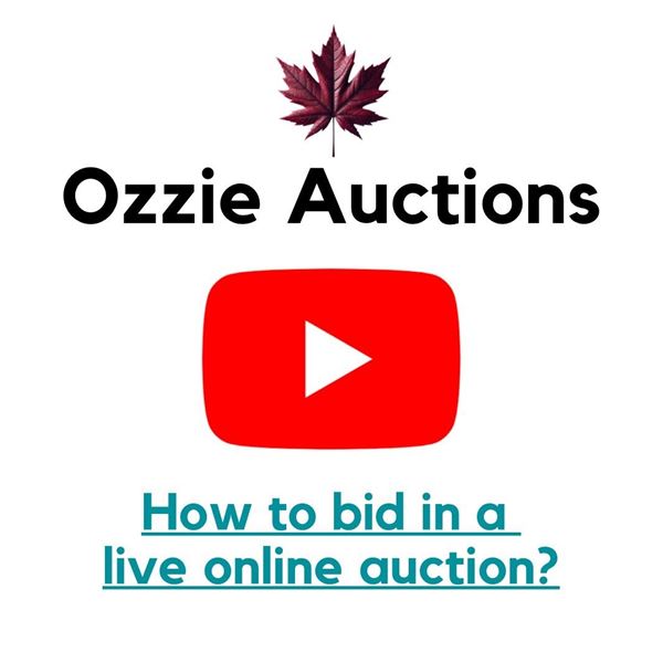 How to bid in a live online auction ?