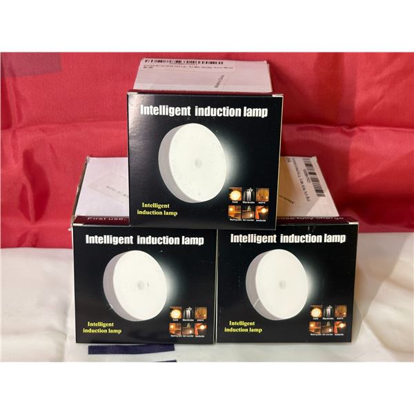 3 BOXES WITH 9 PIECE INTELLIGENT MAGNETIC INDUCTION LAMP WITH MOTION DETECTION