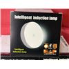 Image 2 : 3 BOXES WITH 9 PIECE INTELLIGENT MAGNETIC INDUCTION LAMP WITH MOTION DETECTION