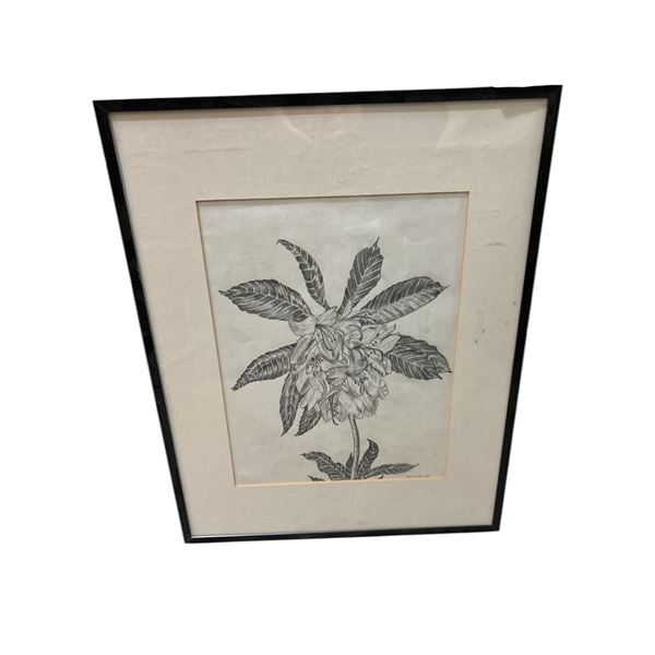 FRAMED FLORAL SKETCH SIGNED BY ARTIST  H. KOSTELYK FROM 14.5IN X 18.5IN