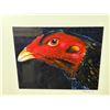 Image 2 : FRAMED BIRD PRINT SIGNED BY ARTIST FROM STATE 19IN X 17IN