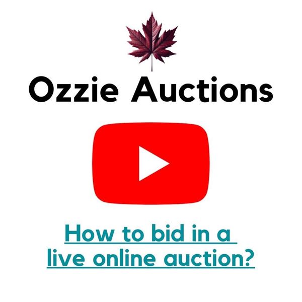 How to bid in a live online auction ?