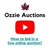 Image 1 : How to bid in a live online auction ?