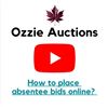 Image 1 : How to place absentee bids online ?