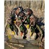 Image 6 : North Dakota Waterfowl Hunt for 2 - Cold water Outfitters