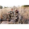 Image 2 : Coues Deer Hunt for 1 - Sonora Desert Hunts
