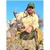 Image 3 : Coues Deer Hunt for 1 - Sonora Desert Hunts