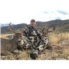 Image 5 : Coues Deer Hunt for 1 - Sonora Desert Hunts