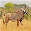Image 1 : 5-Day Roan Walk & Stalk Hunt – Trek Africa Hunting