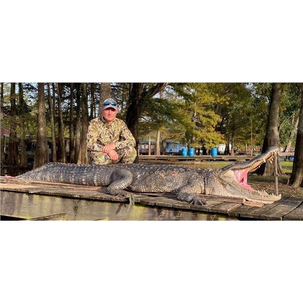 Florida Gator Hunt in Punta Gorda