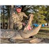 Image 2 : Florida Gator Hunt in Punta Gorda