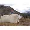 Image 2 : Rifle Mountain Goat Hunt  in Canada - Driftwood Valley Outfitters Ltd