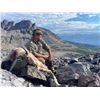 Image 3 : Rifle Mountain Goat Hunt  in Canada - Driftwood Valley Outfitters Ltd