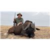 Image 2 : 10-Day Plains Game Hunt for 6 Hunters – Hercules Safaris