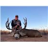 Image 1 : Desert Mule Deer Hunt for 2 - Sonora Desert Hunts